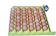 Hova-Bator Incubator Automatic Egg Turner - Quail to Duck Egg