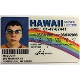 Signs 4 Fun - McLovin Adult License Novelty Movie Prop Plastic Wallet - Superbad, McLovin - Multicolor - Funny Fake ID