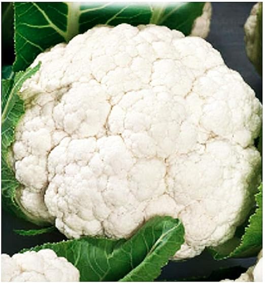 brassière avec coussinet