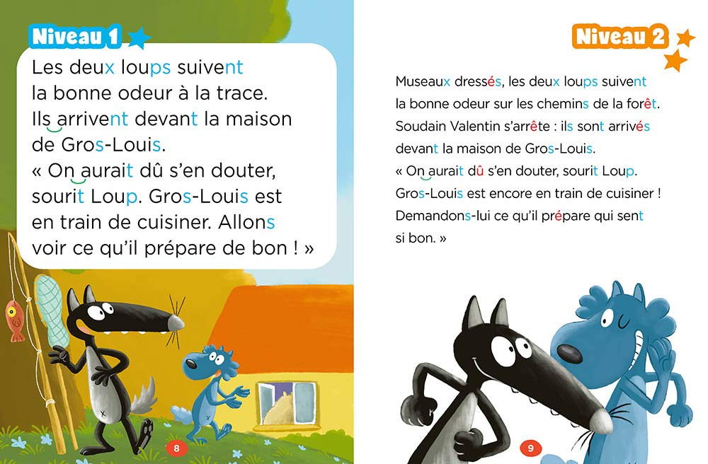 Le Fabuloup Gateau De Gros Louis Lallemand Orianne Sess Thuillier Eleonore Amazon Com Books