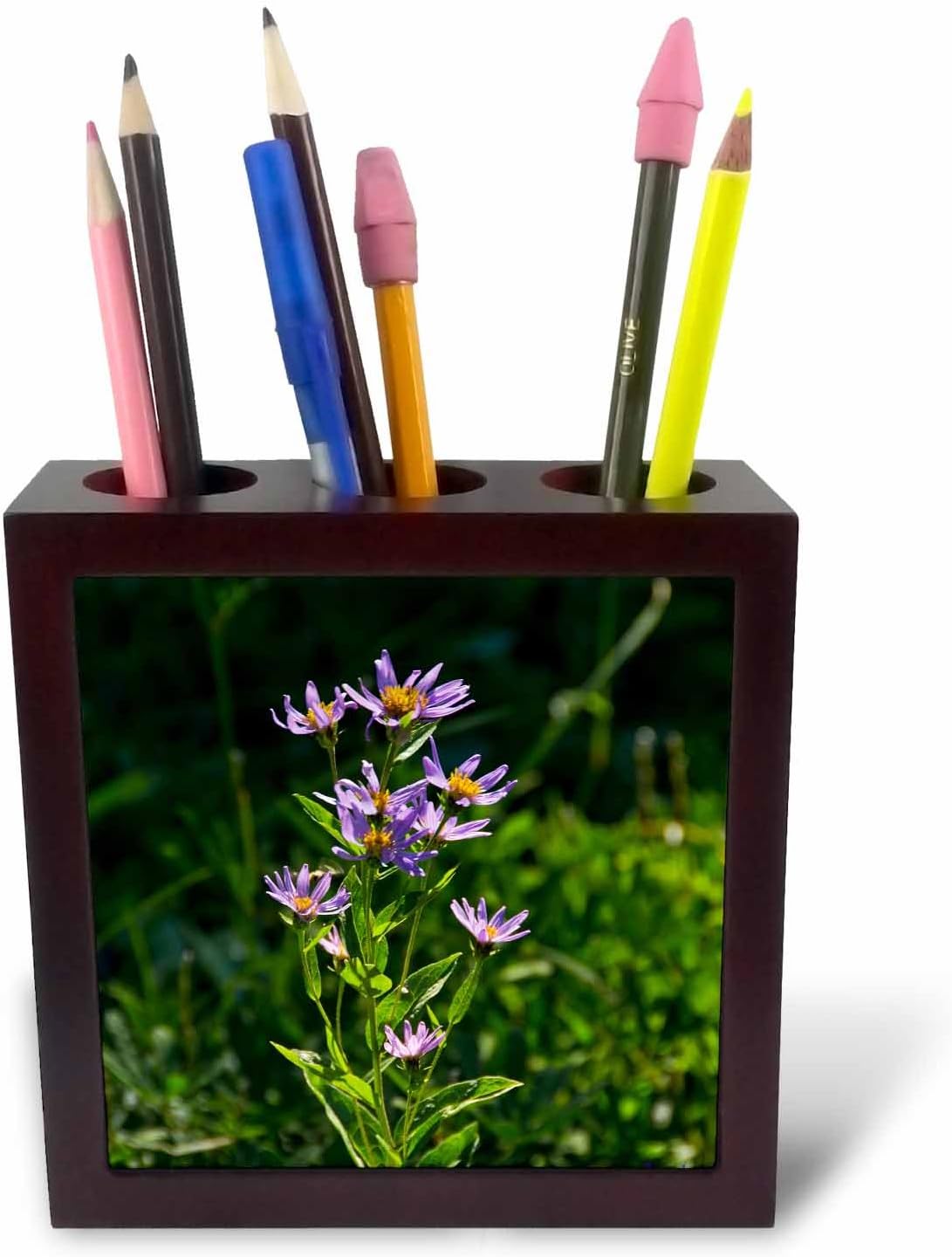 3dRose ph_231781_1 5-Inch "Alpine Aster/Paradise/Mount Rainier National Park/USA" Tile Pen Holder