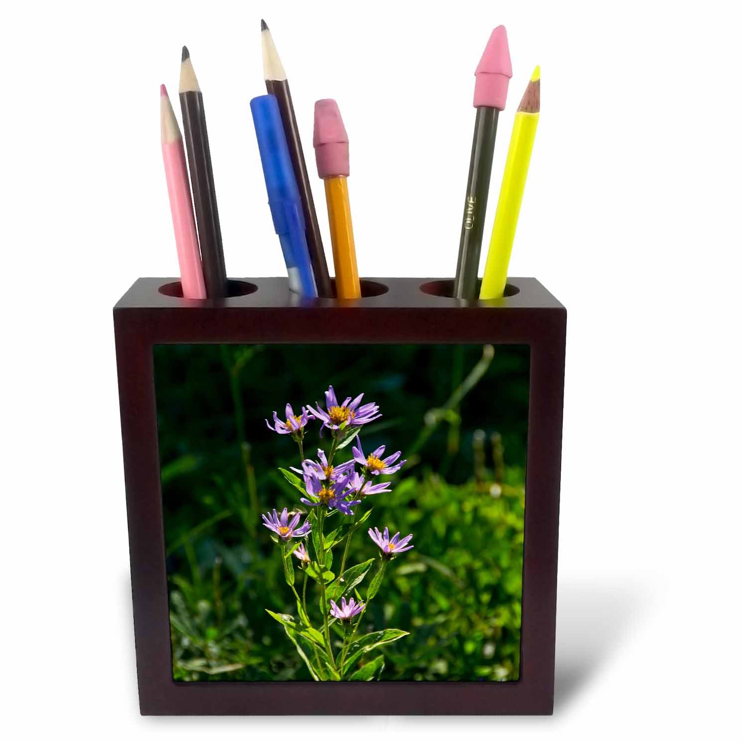 3dRose ph_231781_1 5-Inch "Alpine Aster/Paradise/Mount Rainier National Park/USA" Tile Pen Holder