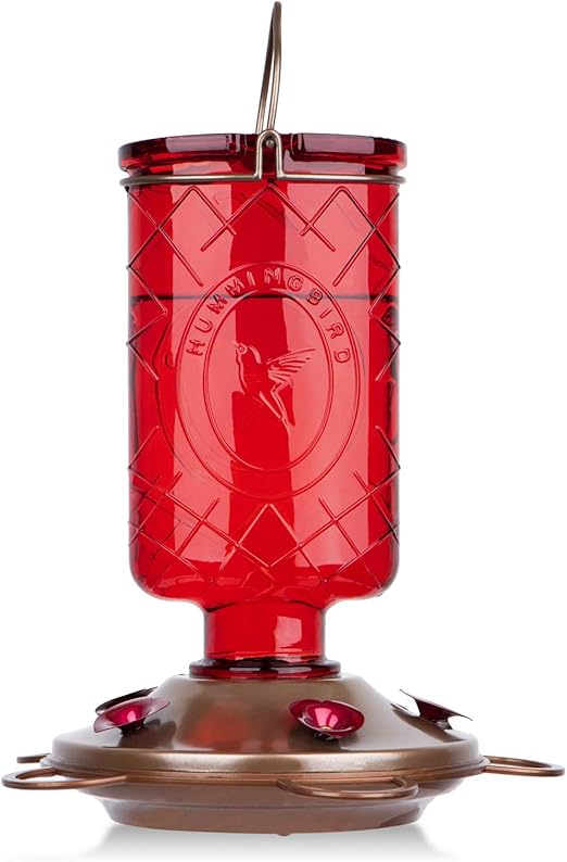 Amazon Com Bolite 18005 Hummingbird Feeder Glass Hummingbird