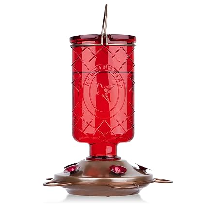 Yard Garden Outdoor Living Hanging Glass Hummingbird Feeder Red