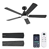 JSAITEE Ceiling Fans with Lights, 52 Inch Low