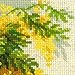 RIOLIS 1615 - Mimosa - Counted Cross Stitch Kit 7
