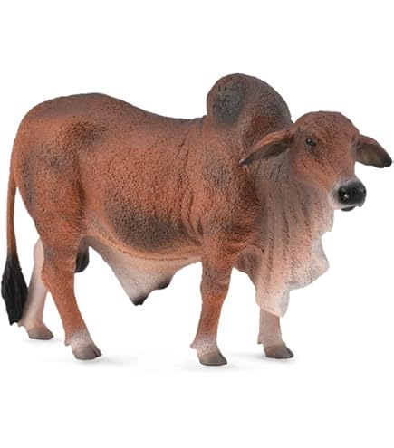 Amazon.com: Collecta Red Angus Bull ,4.7