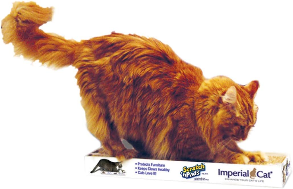 Amazon Com Imperial Cat 00105 Deluxe Cat Scratcher Tan