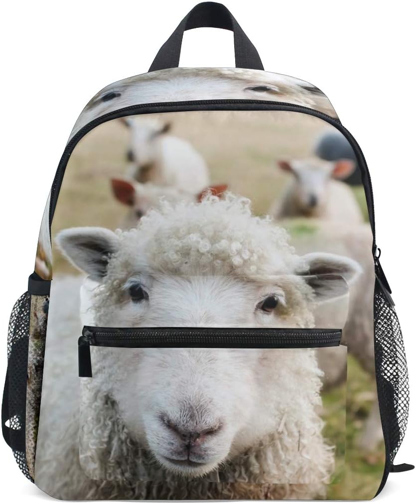 school backpacks ireland