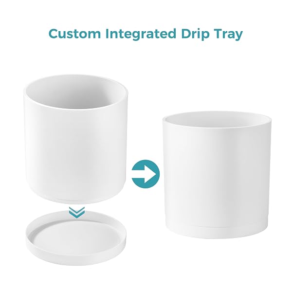 FAITHLAND 8-INCH MODERN CYLINDER PLANTER, THICK-WALLED PLASTIC PLANT POT WITH DRAINAGE HOLES AND DETACHABLE SAUCER, MATTE WHITE, IDEAL FOR INDOOR & OUTDOOR PLANTS FLOWERS