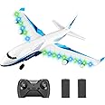 4DRC RC Plane,G2 Remote Control Jet Airplane for Beginners Adult, Ready to Fly Airplane with One Key Aerobatic,LED Light,4-Axis Fighter Jet,2.4Ghz Plane for Kids Boys Girls Beginner,2 Battery
