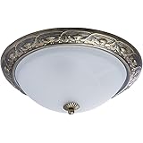 Deckenlampe LED Retro Schwarz Dimmbar Vintage Landhaus Rund Eisen