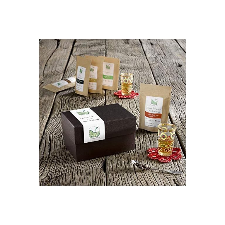 3 Stück Keramik Tee Schweinchen - Sprudelnde Tee Haustier Deko