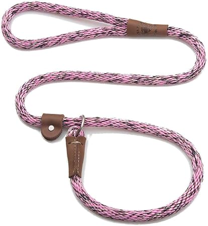 amazon dog slip leads