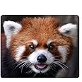 Nicokee Panda Gaming Mousepad Special Red Panda Cute Animal Mouse Pad Mouse Mat for Computer Desk Laptop Office 9.5 X 7.9 Inch Non-Slip Rubber