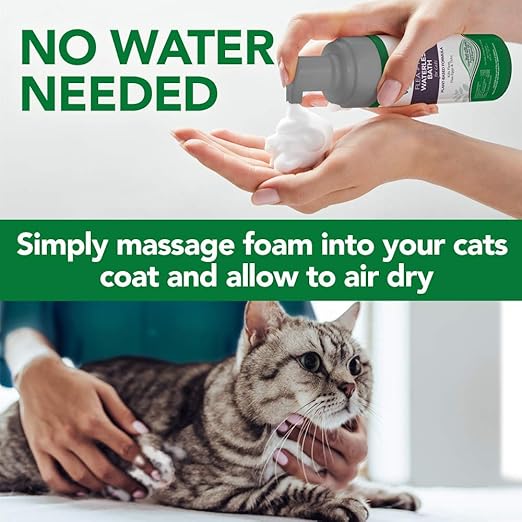 waterless flea and tick shampoo for cats