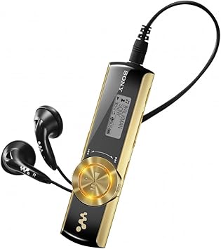 Sony Walkman Nwz B172f Reproductor Mp3 2 Gb Lcd Usb 2 0 Radio Fm 28 G Oro Amazon Es Electronica
