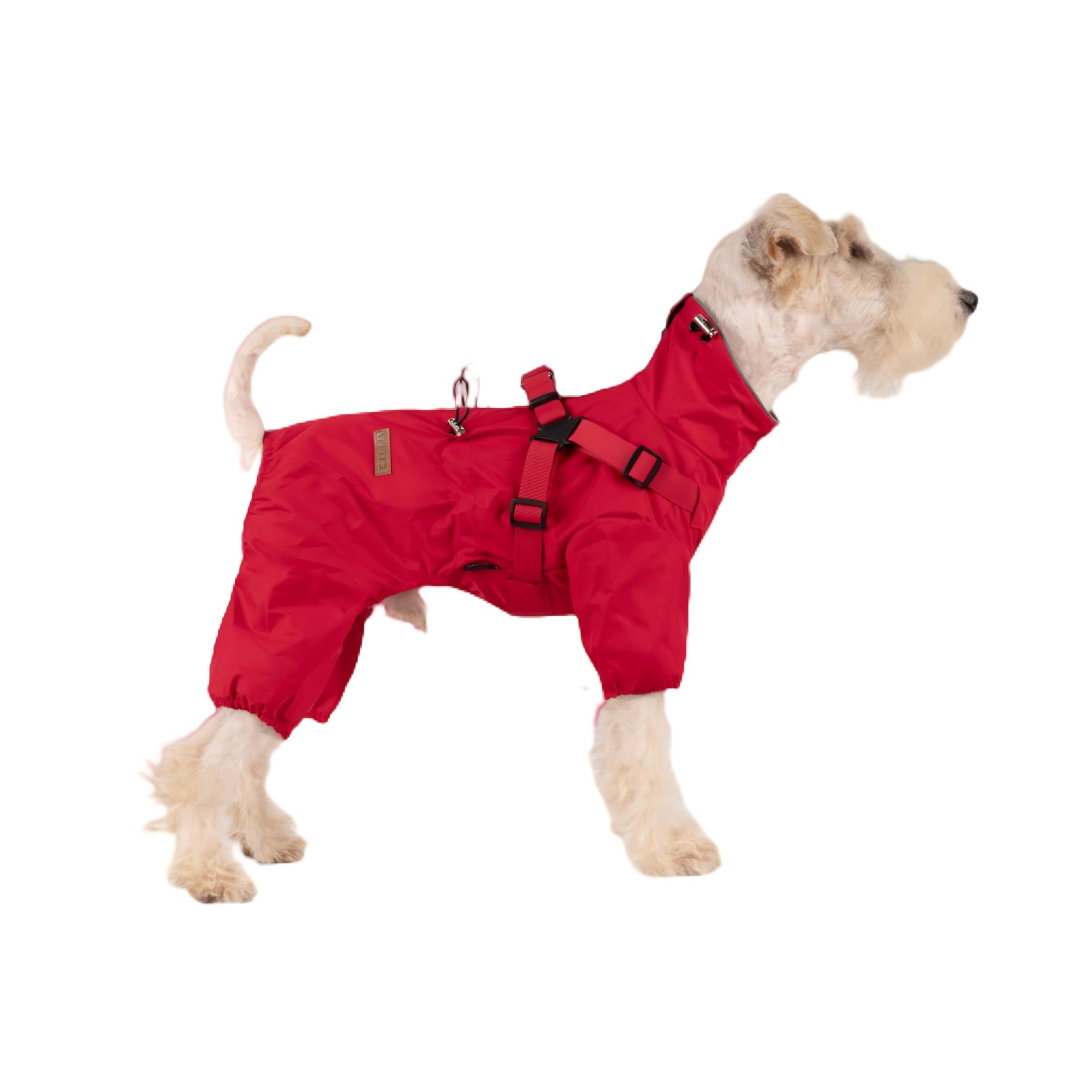 BT Bear Small Dog Harness Raincoat,Adjustable 4 Legs Dog Jacket with Harness Reflective Jumpsuit Waterproof Coat for Puppy Small Dogs,Red M