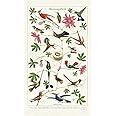 Cavallini & Co., Hummingbirds Vintage Kitchen / Tea Towel