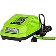 Greenworks 40V Lithium Ion Battery Charger 29482