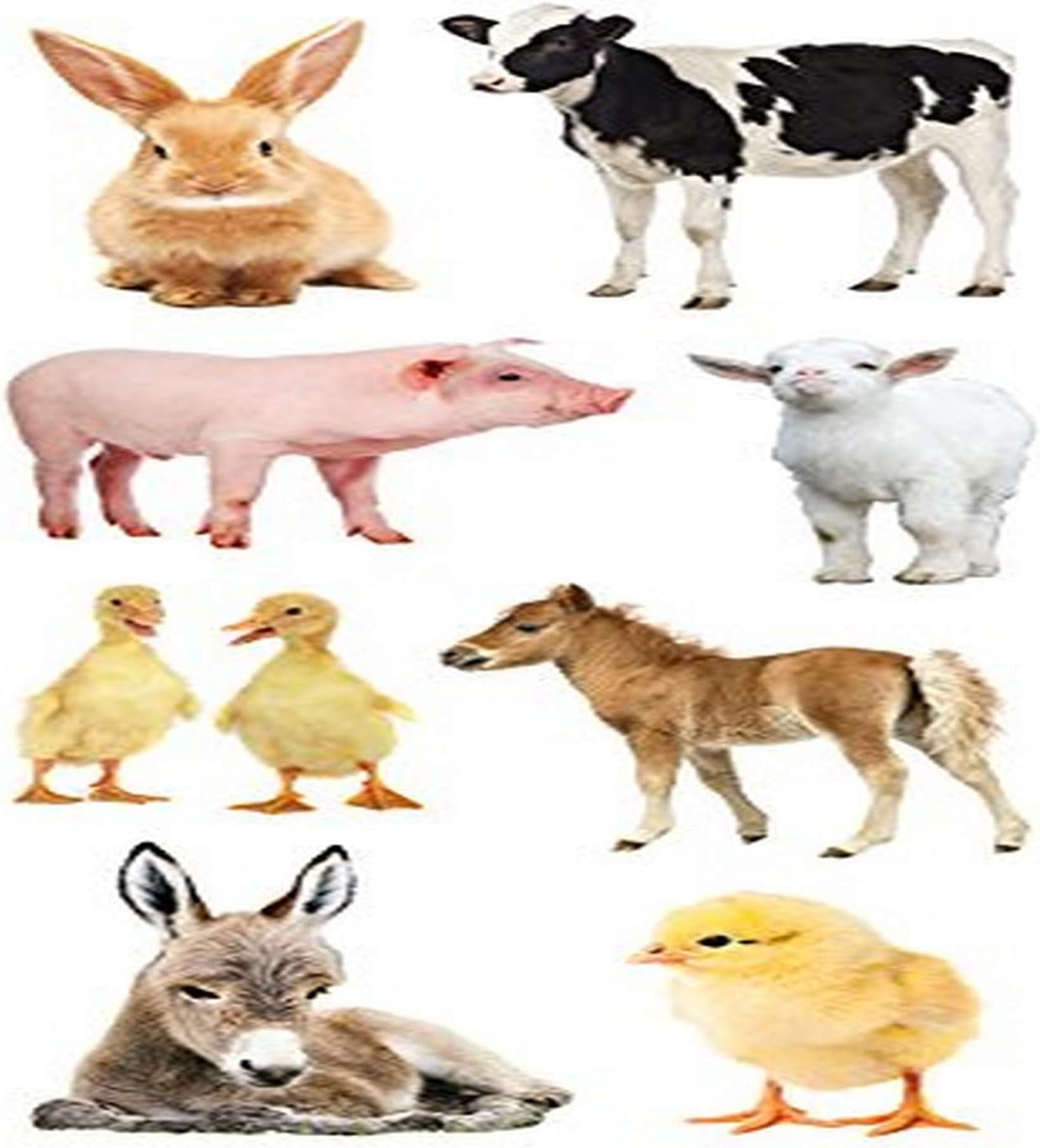 Amazon Com Paper House Productions 2 Inch Stickers Baby Barnyard
