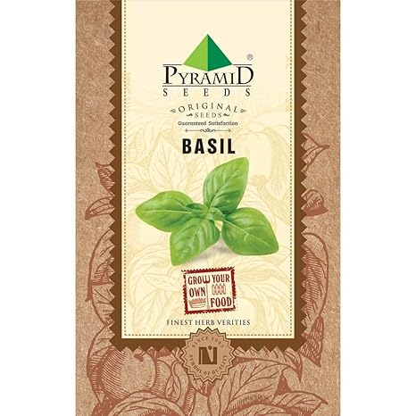 Pyramid Italian Basil Herb Seeds (1000 Seeds)