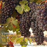 Vinifera The World's Great Wine Grapes : 12 Glorious Varietals : Their History, Description, Curious by