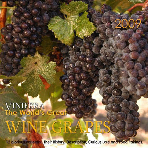 Download Vinifera The World's Great Wine Grapes 12 Glorious