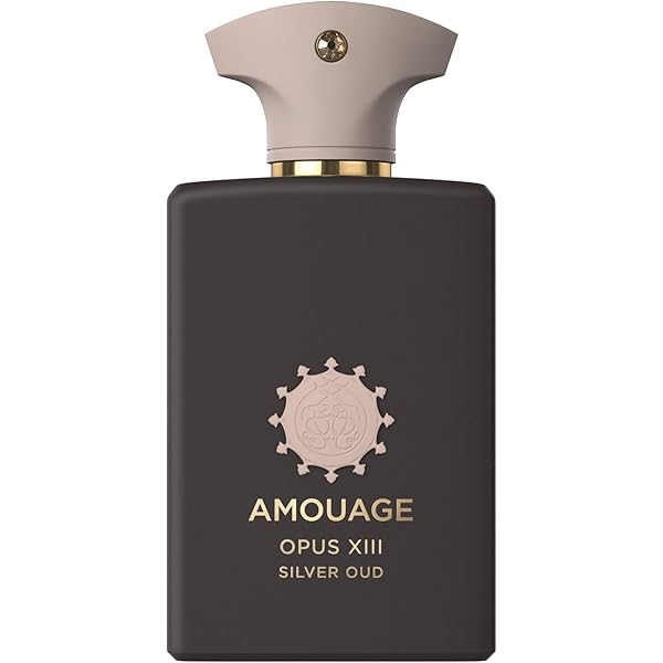 アムアージュ ウーズシンフォニー 100ml Amazon.com: AMOUAGE OPUS V WOODS SYMPHONY Eau de Parfum