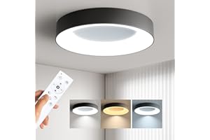 Annaror LED Flush Mount Ceiling Light with Remote Control, 24W 3000K-6500K Dimmable Ceiling Light Fixture, Modern Led Ceiling Lights for Bedroom Kitchen Laundry Room, 11 Inch Black