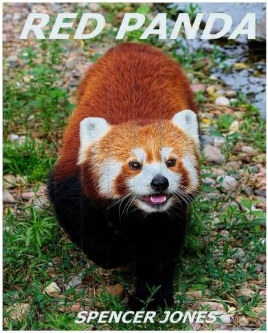 Red Panda Learn About Red Pandas Amazing Pictures Fun Facts 3 Jones Spencer Amazon Sg Books