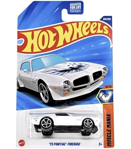 Hot Wheels Pontiac Firebird, Hot Bird [Black] 198/223 : Amazon.ca