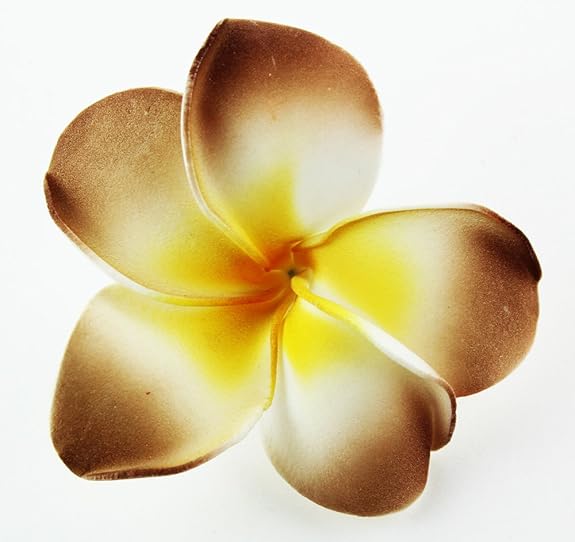 Hawaiian Flower Hair Clip Tropical Flower Summer Hair