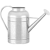 2.3 Gallon Metal Watering Can, Galvanized Watering Can for Outdoor Indoor Plants, Large Water Can for Plants and Garden Flower