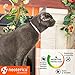 Flea & Worm Collar for Cats – Flea Control and Tick Treatment – Better than Oral Flea Control – Cat Dewormer – Cat Worm Treatment for Tapewormsthumb 3
