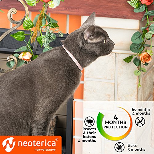 Rolf Club 3D Flea & Worm Collar for Cats and Small Dogs Flea Control