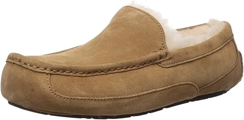 ugg clogs for men