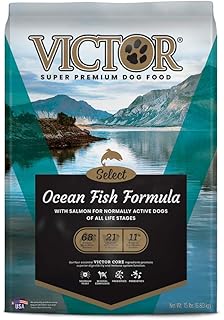Amazon Com Victor Select Lamb Meal Brown Rice Formula Dry Dog Food 5 Lbs Pet Supplies