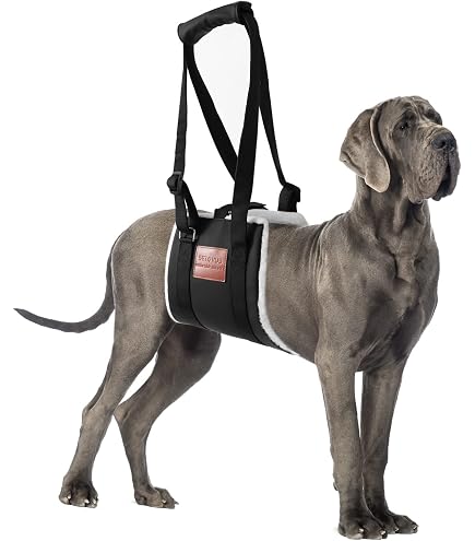 Hunde-Hebegeschirr Mit Stützfunktion – Verstellbar, Atmungsaktiv, Für Alte, Verletzte Oder Gelähmte Hunde (Größe M)