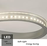 Comely ModernLED Ceiling Light 30W 3375LM 4500K Silver 30cm Flower view 6