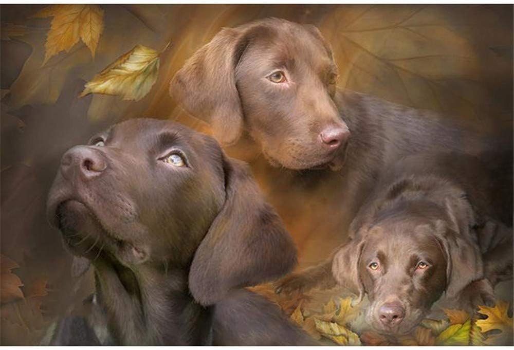 Diy Oil Painting Paint By Number Kit-Animal Dog