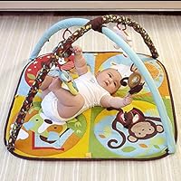 skip hop hug and hide activity gym