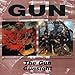 Gun / Gunsight