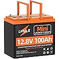 12V 100Ah Mini LiFePO4 Battery, Group 24 Lithium Battery, Max.1280Wh, Built-in 100A BMS, UP to 15000 Cycles, for RV, Camping, Solar System, Off-Grid