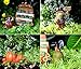 Pretmanns Fairy Garden Accessories Kit – Miniature Garden Fairy, Vegetable Stand (5”High), Scarecrow & Vegetable Collections – Colorful 5 Piece Fairy Garden Set