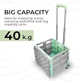 Berry 40 kg Foldable Shopping Trolley Mint Green Grey Four Wheels Telescopic view 7