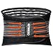 ENKEEO Lumbar Lower Back Brace and Support Belt with Breathable Mesh and Dual Adjustable Straps for Back Pain & Stress Relief
