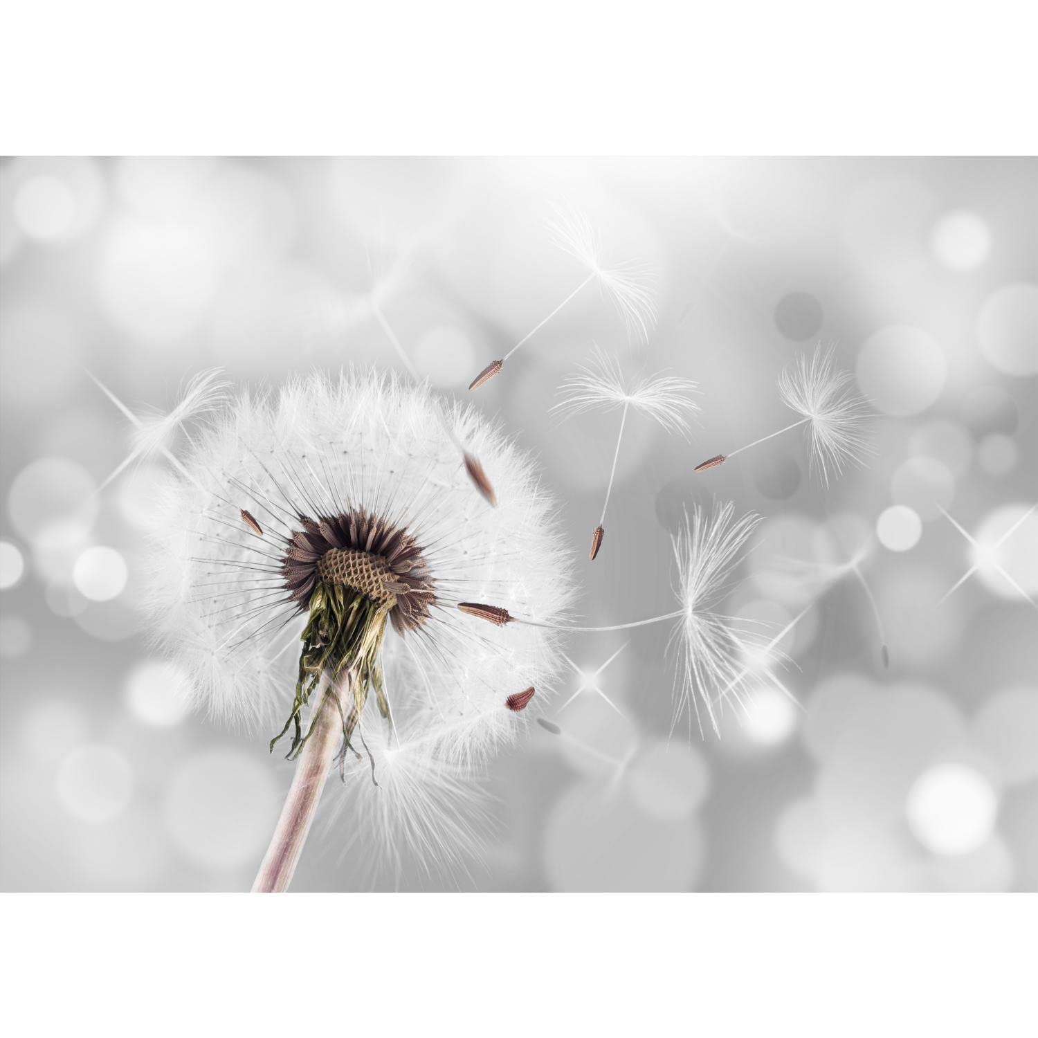 Runa Art Wallpaper 396 x 280 cm Dandrel Non-Woven Decoration Print Wall Mural Living Room - Made in Germany - Gray 9155012a