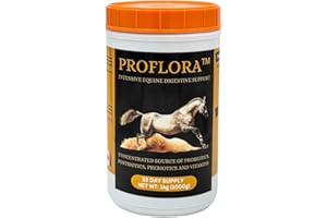ProFlora Equine Digestive Care