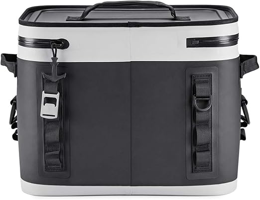 cooler delivery bags